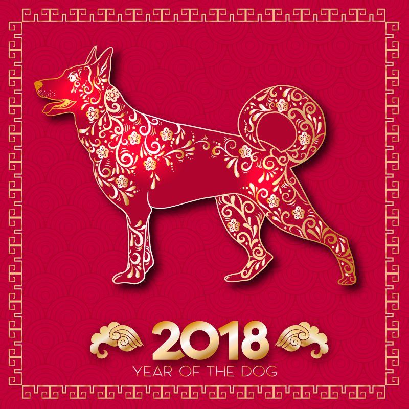 Year of the Dog, Chinese new year